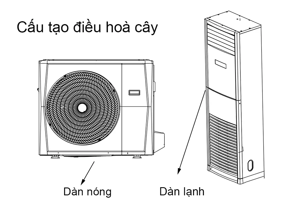 Cấu tạo điều hoà cây